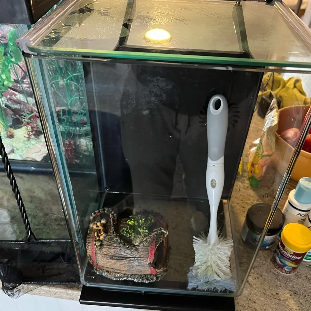 Fish aquariums